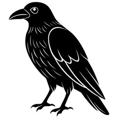 Animal Raven silhouette vector illustrator