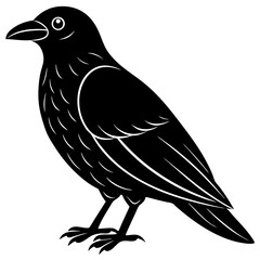 Animal Raven silhouette vector illustrator