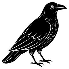 Animal Raven silhouette vector illustrator