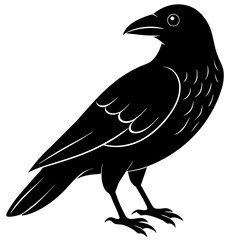 Animal Raven silhouette vector illustrator