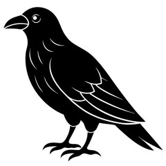 Animal Raven silhouette vector illustrator