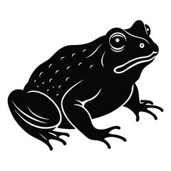 Snake Cartoon Drawing