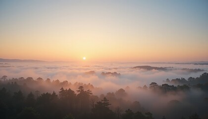 Obraz premium Serene sunrise over misty forest landscape nature photography early morning tranquil environment aerial view peaceful atmosphere for relaxation