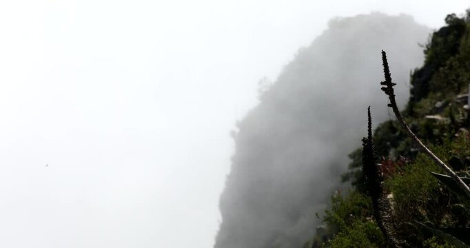 Afternoon view of the mountainside of Puerta del Cielo in Pinal de Amoles, Quer&eacute;taro, Mexico.