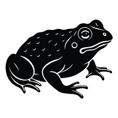 Snake Graphic Design