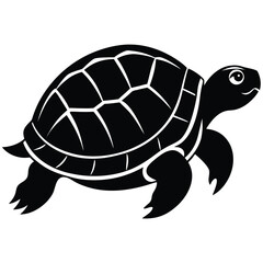 Tortoise Vector Design