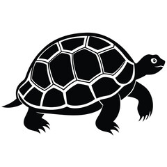 Fototapeta premium Toad Cartoon Clipart