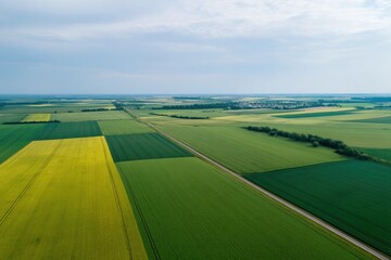 Obraz premium aerial view of abstract fields with geometric patterns capturing minimalist essence