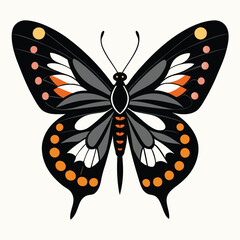 Elegant Butterfly, Black Butterfly, White Butterfly, Butterfly Silhouette, Black and White Design, Elegant Silhouette,