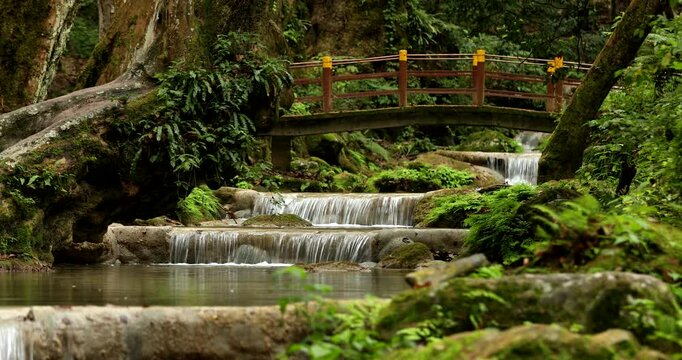 A beautiful river runs through the forest of the Sierra Gorda in Pinal de Amoles, Quer&eacute;taro, Mexico.