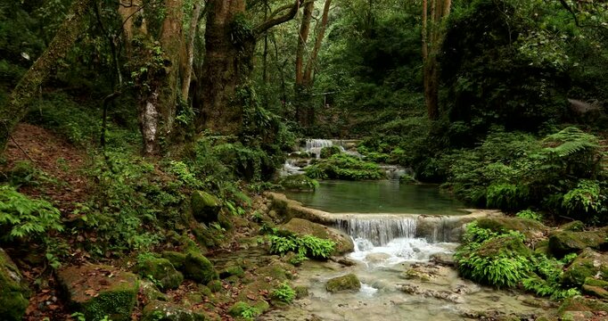 A beautiful river runs through the forest of the Sierra Gorda in Pinal de Amoles, Quer&eacute;taro, Mexico.