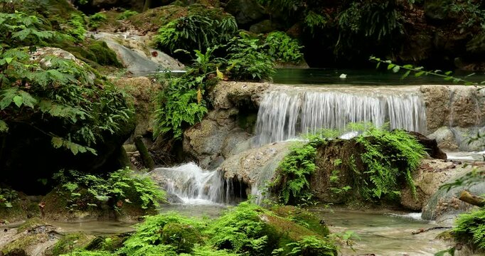 A beautiful river runs through the forest of the Sierra Gorda in Pinal de Amoles, Quer&eacute;taro, Mexico.