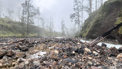 River stream waterfall in forest landscape