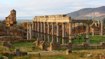 Palestra de Petroni, Yacimiento Thuburbo Majus, El Fahs, T&uacute;nez