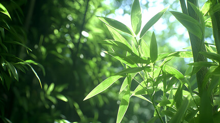 Obraz premium Close Up View Of Lush Green Foliage In Sunlight