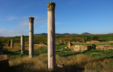 Yacimiento Thuburbo Majus,  El Fahs, Túnez