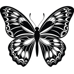 Fototapeta premium Elegant Butterfly, Black Butterfly, White Butterfly, Butterfly Silhouette, Black and White Design, Elegant Silhouette,