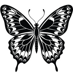 Elegant Butterfly, Black Butterfly, White Butterfly, Butterfly Silhouette, Black and White Design, Elegant Silhouette,