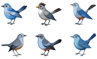 Set of Catbird bird isolated  on white background