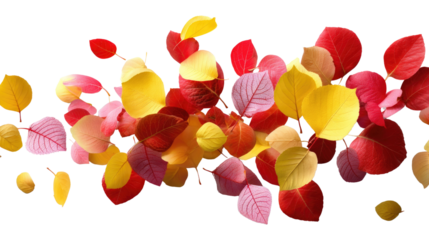 Autumnal Palette: A vibrant tapestry of fall leaves in varying hues of red, yellow, and pink, creating a dynamic and visually captivating display of nature's transformation.