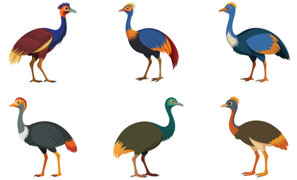 set of Moa bird isolated  on white background