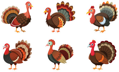 set of Turkey bird isolated  on white background