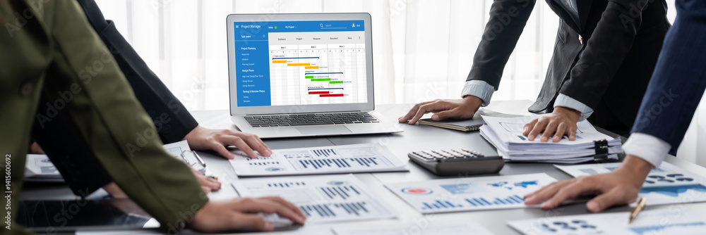 Poster project planning software for brisk business project management on the computer screen showing timel