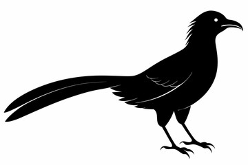 Greater coucal silhouette black vector