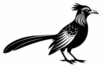 Greater coucal silhouette black vector