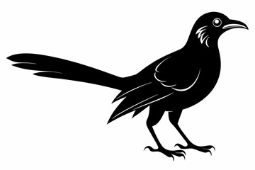 Greater coucal silhouette black vector