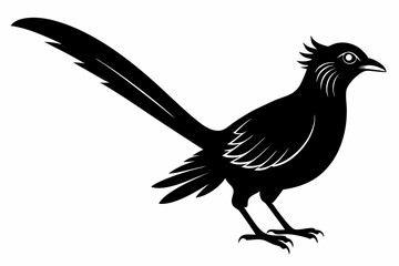 Greater coucal silhouette black vector