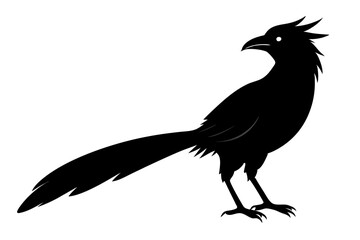 Greater coucal silhouette black vector