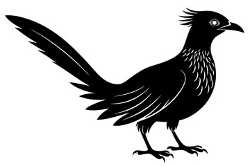 Fototapeta premium Greater coucal silhouette black vector