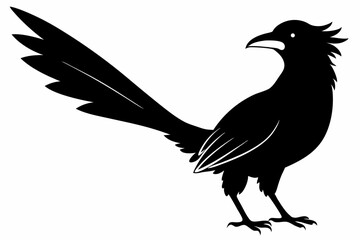 Greater coucal silhouette black vector