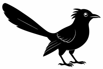 Greater coucal silhouette black vector