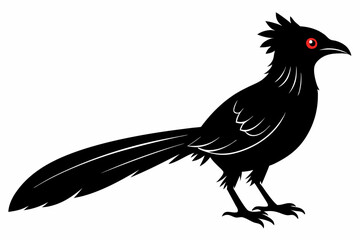 Greater coucal silhouette black vector