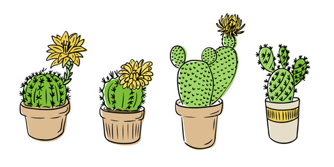 Hand drawn vector set of blooming potted cactuses in different shapes and sizes. Concept of desert plants, home decoration, and botanical diversity in colorful plant illustration