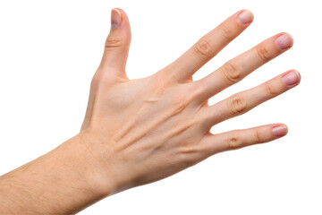 Hand Showing Thumbs Up Sign Symbol of Agreement and Like.