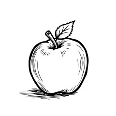 Hand-drawn apple with leaf in black and white sketch style  