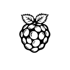 Black and White Raspberry Illustration with Leaves  