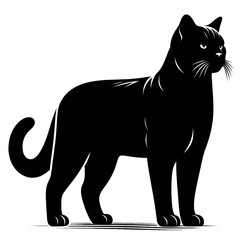 Obraz premium Chartreux Cat Silhouette: A sleek, solid black cat stands confidently, depicted in a striking silhouette that highlights its elegant form and intense gaze, perfect for design projects.