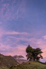 Tree and snow-capped volcano in a fantastic landscape in the Andes of Colombia. Sky of purple, blue and gold colors in natural tones.