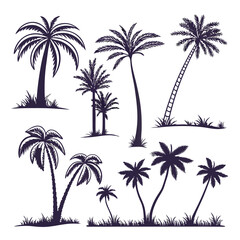 Obraz premium palm tree silhouette bundle set bundle vector design