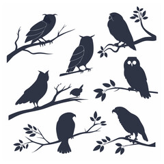 Obraz premium Owl bird silhouette bundle set bundle vector design