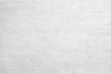 Subtle Elegance Detailed Monochromatic Fabric Texture for Graphic Design and Artistic Projects