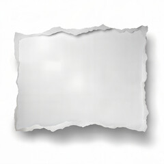 Torn Paper Texture
