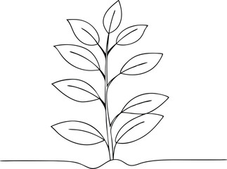 Minimalist Line Art Plant with Leaves Emerging from Soil, Single Line Style