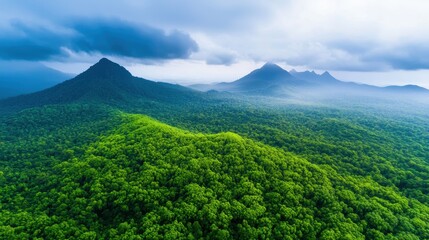 Green mountains covered in dense forests, providing a stunning view of untouched wilderness.