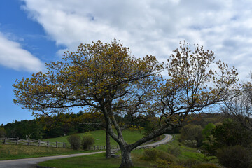 Winding Parkway through Rolling Hills in Virginia