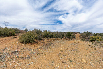 A dirt road through a desert landscape with trees and bushes